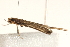  ( - MDOK-1583)  @12 [ ] CreativeCommons - Attribution (2009) Unspecified Centre for Biodiversity Genomics