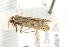  ( - MDOK-1584)  @12 [ ] CreativeCommons - Attribution (2009) Unspecified Centre for Biodiversity Genomics