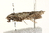  ( - MDOK-1627)  @13 [ ] CreativeCommons - Attribution (2009) Unspecified Centre for Biodiversity Genomics