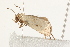  ( - MDOK-1661)  @12 [ ] CreativeCommons - Attribution (2009) Unspecified Centre for Biodiversity Genomics