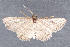  ( - MDOK-2996)  @14 [ ] Copyright (2010) Unspecified Unspecified