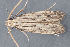  ( - MDOK-3017)  @12 [ ] Copyright (2010) Unspecified Unspecified