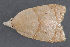  ( - MDOK-3020)  @12 [ ] Copyright (2010) Unspecified Unspecified