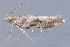  ( - MDOK-3032)  @13 [ ] Copyright (2010) Unspecified Unspecified
