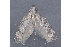  ( - MDOK-3034)  @13 [ ] Copyright (2010) Unspecified Unspecified