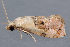  ( - MDOK-3051)  @12 [ ] Copyright (2010) Unspecified Unspecified
