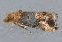  ( - MDOK-3077)  @12 [ ] Copyright (2010) Unspecified Unspecified
