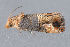  ( - MDOK-3079)  @12 [ ] Copyright (2010) Unspecified Unspecified
