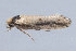  ( - MDOK-2495)  @13 [ ] Copyright (2010) Unspecified Unspecified