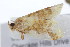  ( - MDOK-2497)  @12 [ ] Copyright (2010) Unspecified Unspecified