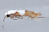  ( - MDOK-2536)  @12 [ ] Copyright (2010) Unspecified Unspecified