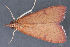  ( - MDOK-2840)  @12 [ ] Copyright (2010) Unspecified Unspecified