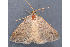  ( - MDOK-2845)  @13 [ ] Copyright (2010) Unspecified Unspecified