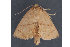  ( - MDOK-2878)  @13 [ ] Copyright (2010) Unspecified Unspecified