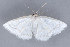 ( - MDOK-2912)  @14 [ ] Copyright (2010) Unspecified Unspecified
