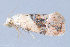  ( - MDOK-2938)  @12 [ ] Copyright (2010) Unspecified Unspecified