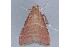  ( - MDOK-2941)  @12 [ ] Copyright (2010) Unspecified Unspecified