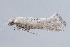  ( - MDOK-3790)  @13 [ ] CreativeCommons - Attribution Non-Commercial No Derivatives (2010) Mark Dreiling 2010 Unspecified