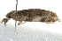  ( - MDOK-4055)  @12 [ ] CreativeCommons - Attribution (2010) CBG Photography Group Centre for Biodiversity Genomics
