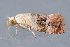  ( - MDOK-3561)  @12 [ ] Copyright (2010) Unspecified Unspecified