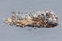  ( - MDOK-3093)  @12 [ ] Copyright (2010) Unspecified Unspecified
