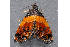  ( - MDOK-3115)  @14 [ ] CreativeCommons - Attribution Non-Commercial No Derivatives (2009) Mark J. Dreiling Unspecified