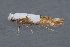  ( - MDOK-3583)  @12 [ ] Copyright (2010) Unspecified Unspecified