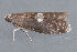  ( - MDOK-3128)  @12 [ ] Copyright (2010) Unspecified Unspecified