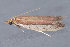  ( - MDOK-3131)  @13 [ ] Copyright (2010) Unspecified Unspecified