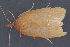  ( - MDOK-3152)  @12 [ ] Copyright (2010) Unspecified Unspecified