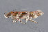  ( - MDOK-3598)  @14 [ ] Copyright (2010) Unspecified Unspecified