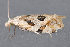  ( - MDOK-3156)  @12 [ ] Copyright (2010) Unspecified Unspecified