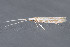  ( - MDOK-3606)  @12 [ ] Copyright (2010) Unspecified Unspecified