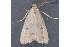  ( - MDOK-3251)  @13 [ ] Copyright (2010) Unspecified Unspecified
