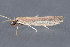  ( - MDOK-3255)  @13 [ ] Copyright (2010) Unspecified Unspecified