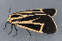  ( - MDOK-3256)  @12 [ ] Copyright (2010) Unspecified Unspecified