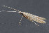 ( - MDOK-3627)  @12 [ ] Copyright (2010) Unspecified Unspecified