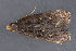  ( - MDOK-3265)  @12 [ ] Copyright (2010) Unspecified Unspecified