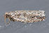  ( - MDOK-3278)  @12 [ ] Copyright (2010) Unspecified Unspecified