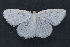  ( - MDOK-3282)  @14 [ ] Copyright (2010) Unspecified Unspecified