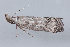  ( - MDOK-3290)  @13 [ ] Copyright (2010) Unspecified Unspecified