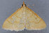  ( - MDOK-3302)  @12 [ ] Copyright (2010) Unspecified Unspecified