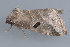  ( - MDOK-3304)  @13 [ ] Copyright (2010) Unspecified Unspecified
