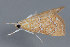  ( - MDOK-3312)  @12 [ ] Copyright (2010) Unspecified Unspecified