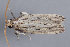  ( - MDOK-3329)  @12 [ ] Copyright (2010) Unspecified Unspecified
