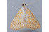  ( - MDOK-3346)  @13 [ ] Copyright (2010) Unspecified Unspecified