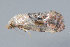  ( - MDOK-3379)  @12 [ ] Copyright (2010) Unspecified Unspecified