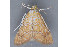  ( - MDOK-3404)  @13 [ ] Copyright (2010) Unspecified Unspecified