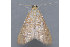  ( - MDOK-3406)  @12 [ ] Copyright (2010) Unspecified Unspecified