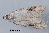  ( - MDOK-3416)  @13 [ ] Copyright (2010) Unspecified Unspecified